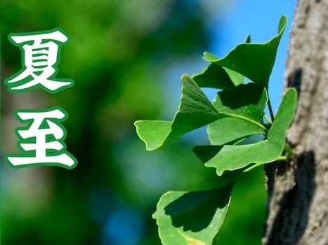 油煙凈化器，油煙凈化設備，油煙凈化機